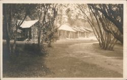 Rustic Cabins in Wooded Area along Dirt Path Postcard