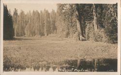 Stock #1187636 Thumbnail