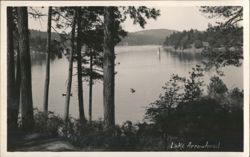 Lake Arrowhead with Trees and Mountains Postcard