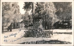 Cluster Pines Cottage #A - "Squirrel" Big Bear Lake Postcard