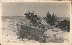 Petrified Log Forming Natural Bridge near Adamana, AZ Postcard