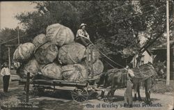 Greeley's Famous Products: Cabbage Wagon Postcard