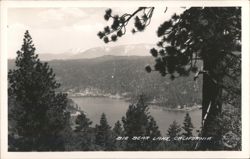 Big Bear Lake, CA - Panoramic View, Pine Trees & Mountains Postcard