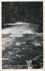 North Fork of Feather River, Calif. Rapids & Bridge Postcard