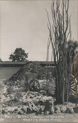 Desert Garden and Volcano, Knott's Berry Place Postcard