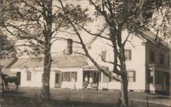 Aunt Lilla's 30-Year-Old Home with Horse, Auburn, ME Postcard
