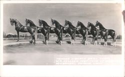 Famous Liberty Drill Team, W.K. Kellogg Institute Postcard