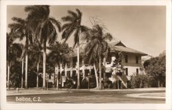 Balboa, C. Z. Building with Palm Trees Postcard