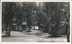 Rainbow Angling Club Azusa CA Cabins Trees Postcard