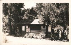 Cabin 11 & 12 at Cambria Pines Postcard