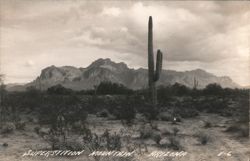 Stock #1187809 Thumbnail