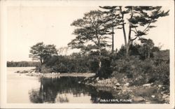 Stock #1187824 Thumbnail