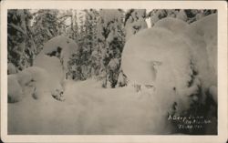 Deep Snow in Alaska Forest - Thwaites Postcard