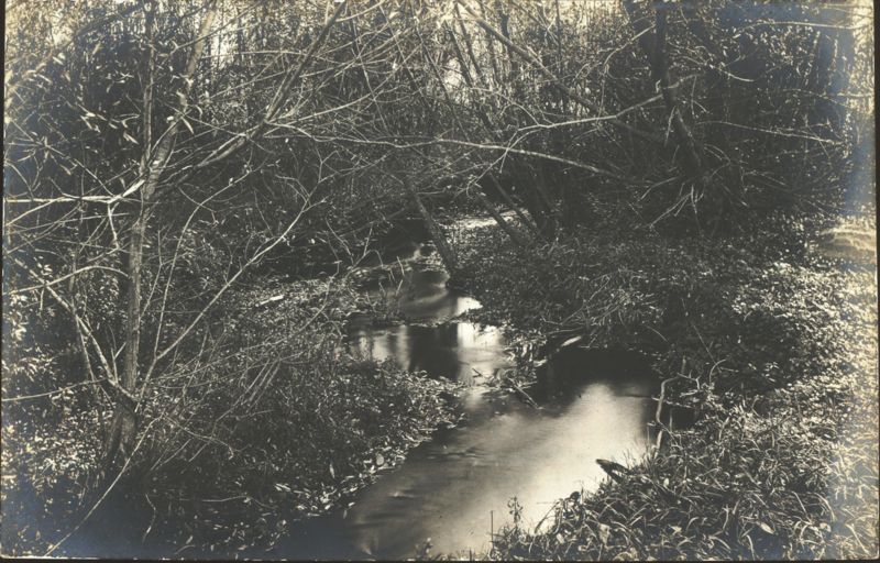 Stream Winding Through Dense Woods Norfolk Connecticut