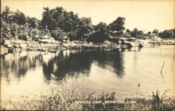 Lanphiers Cove Waterfront with Houses and Trees Postcard