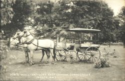 Doris Wall Antiques Horse-Drawn Carriage Route 44 Postcard