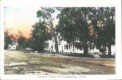 Street View in Colebrook, Conn. Postcard