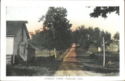 Street View, Colebrook, Conn. Postcard
