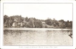 Mott's Camp - The Lake Postcard