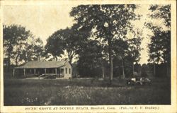 Picnic Grove at Double Beach, Branford Postcard