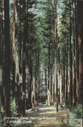Pine Grove Camp Meeting Grounds, Canaan, CT Postcard