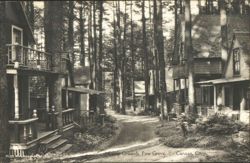 Camp Grounds, Pine Grove, Canaan, CT - Rustic Cabins Postcard