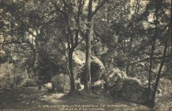 Weary Willy's Haven of Refuge, Rocky Woods Postcard