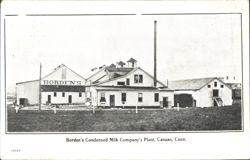 Borden's Condensed Milk Company's Plant, Canaan Postcard