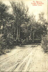 The Watering Trough, Colebrook Center, Conn. Postcard