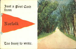Norfolk VA Tree Tunnel & Pennant Postcard