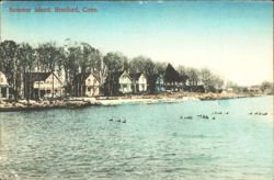 Summer Island, Cottages, Waterfront, Waterfowl Postcard