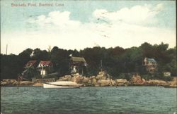Brockett's Point, Branford, CT - Shoreline with Houses Postcard