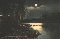 THE SUPPLY POND, BRANFORD, CONN. Postcard