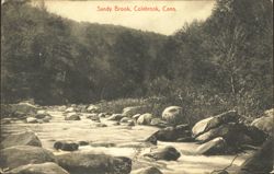 Sandy Brook, Colebrook, Conn. Postcard