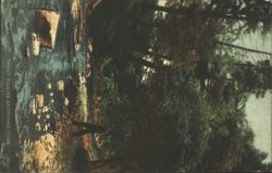 Trout Fishing, Branford, Connecticut Postcard