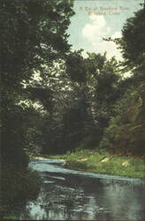 Branford River, Branford, Conn. Postcard