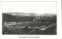 Torrington Driving Park Postcard