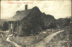 A Picturesque Cottage, Colebrook, Conn. Postcard