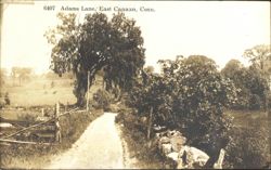 Adams Lane, Rural Landscape with Dirt Road Postcard