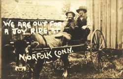 Men in Ox Cart, Joy Ride at Norfolk, CT Postcard
