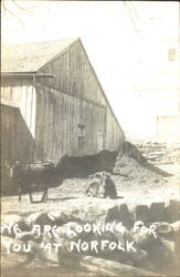 We Are Looking For You At Norfolk Barn Goats Church Postcard