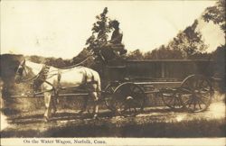 On the Water Wagon, Norfolk, Conn. Postcard
