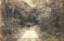 Horse-drawn Carriage on Beulah Spring Drive Postcard