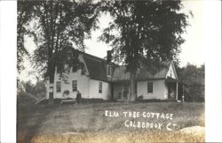 Elm Tree Cottage, Colebrook, CT - Man & Rooms Sign Postcard