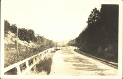 Road with White Fence and Trees Postcard