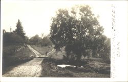 Torringford Street, Fork in Road, Large Tree, Pond Postcard