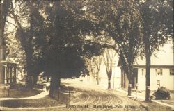 Main Street, Tree-Lined Road, Falls Village Postcard