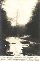 Farmington River, Colebrook, Conn. Postcard