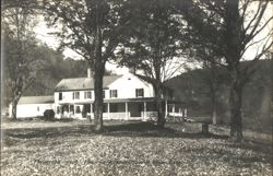 Forest Farm, Near Colebrook River, Connecticut Postcard