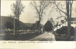 Suspension Foot Bridge, Colebrook River Postcard